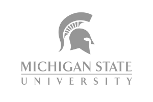 Michigan-State-Gray