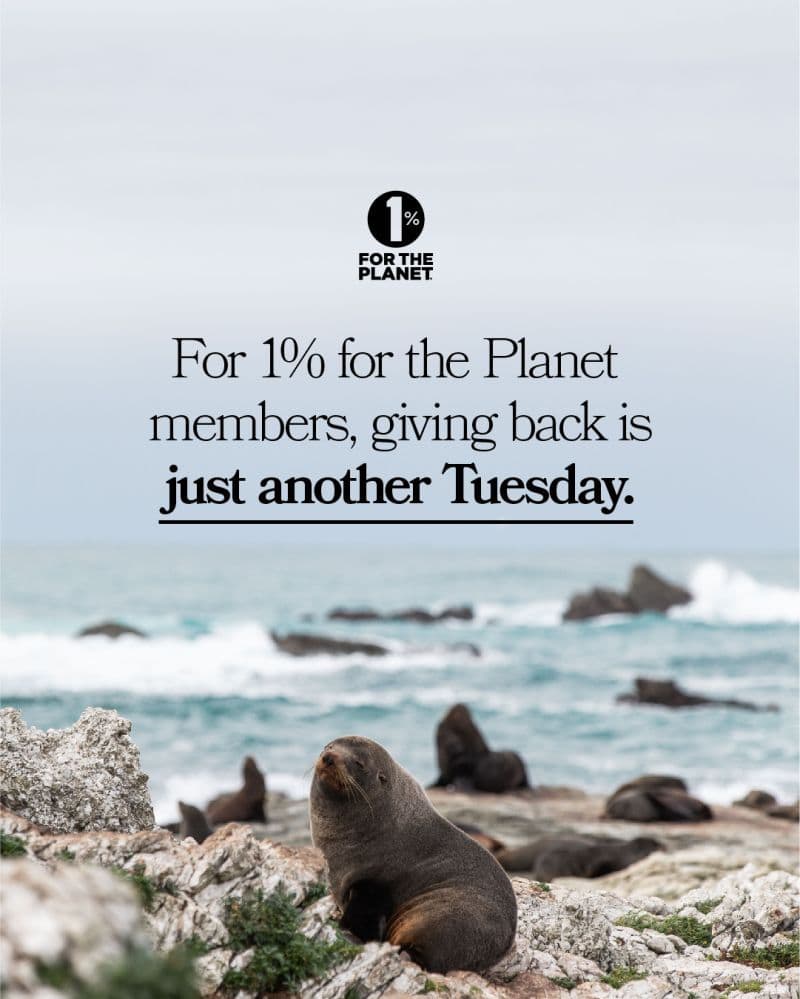 one-percent-another-tuesday