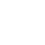 security-marketing-icon