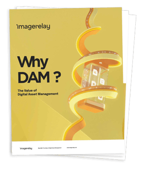 image-relay-ebook-why-dam