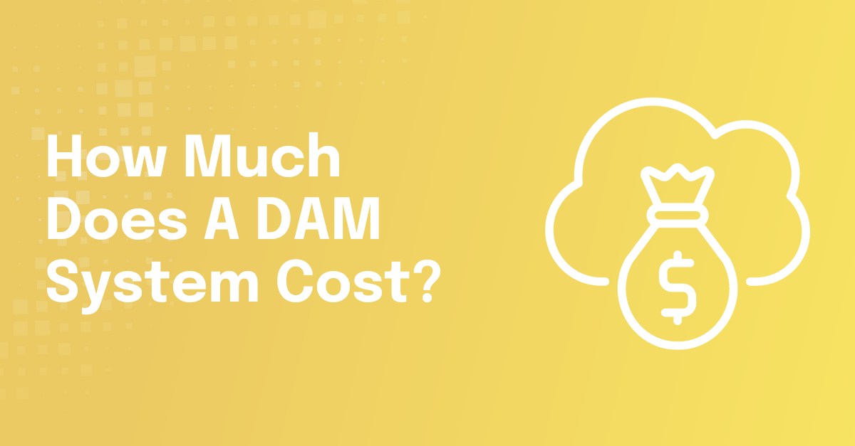 How Much Does Digital Asset Management Software Cost?