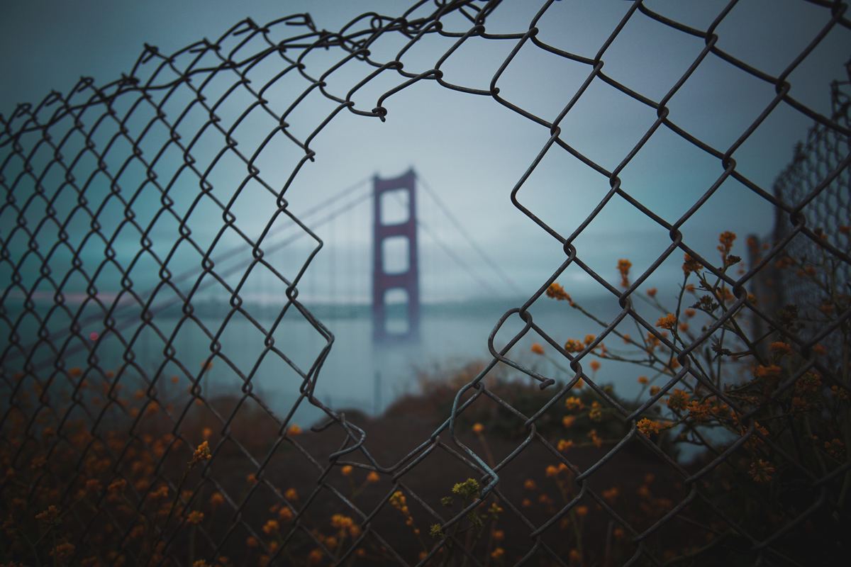 Business Continuity and Digital Asset Management
