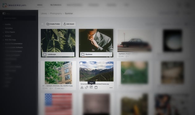 Online File Sharing vs Digital Asset Management