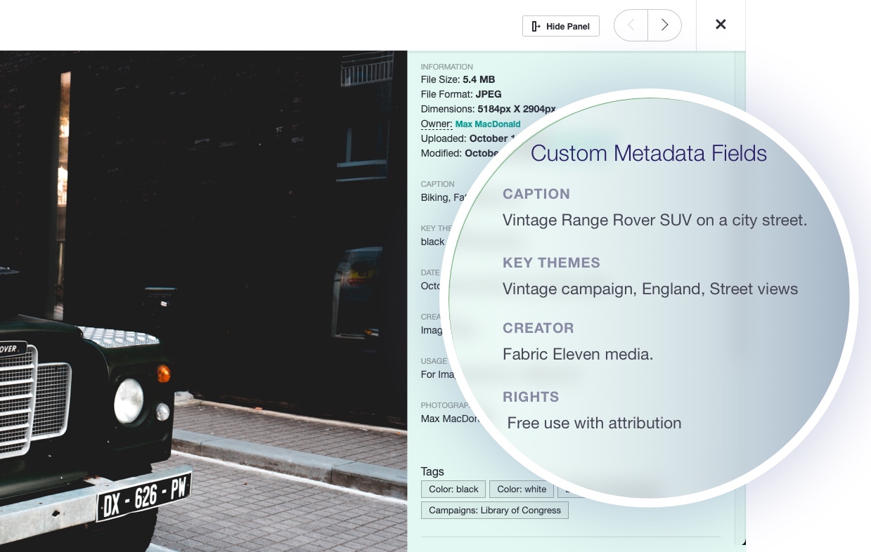 Custom metadata fields for search